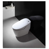 E210-2 Radar Detect Smart One-Piece Siphon Toilet Set With Auto-open,Auto-close,Washer Heating,Cushion Heating