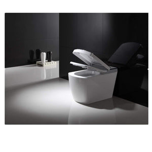 E210-2 Radar Detect Smart One-Piece Siphon Toilet Set With Auto-open,Auto-close,Washer Heating,Cushion Heating