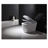 E210-2 Radar Detect Smart One-Piece Siphon Toilet Set With Auto-open,Auto-close,Washer Heating,Cushion Heating